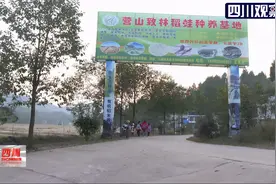 《廉洁四川》追踪：补贴款哪里去了？图片