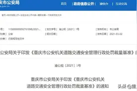 交通罚款打5折？并不是！我市新版道路交通安全管理行政处罚裁量基准今日正式实施图片