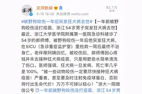 狂犬病致死率100%，被狗抓伤怎么办？专家给出3个救命建议图片