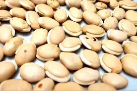 这种豆的含铁量是蚕豆的3倍，不用炸，也可以做出香酥美味的零食图片