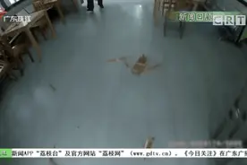「健康知多D」“精神病”有多达400种！专家教你预防图片