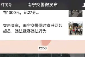 解读|驾驶电动自行车遛狗可以吗？图片