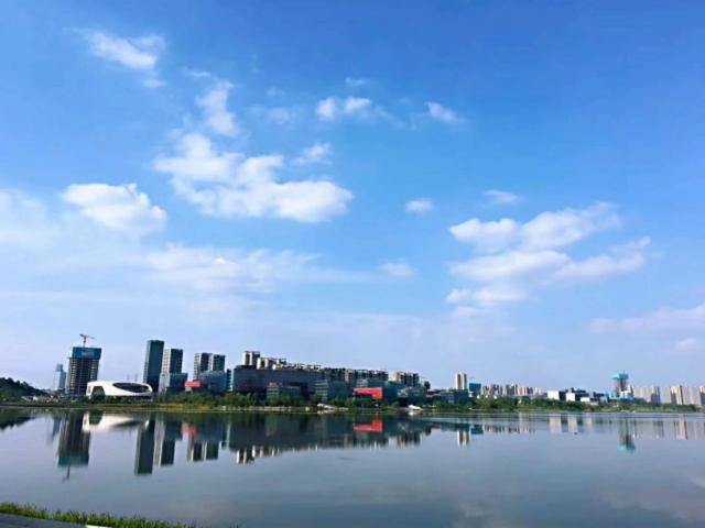 如何落户成都，看这里！