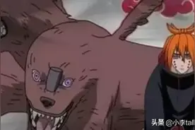 火影忍者：公式书中的知识科普，大部分内容原著并没有普及！图片