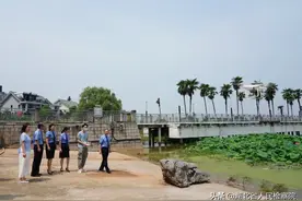 三角湖整改得怎么样？一起去看看图片
