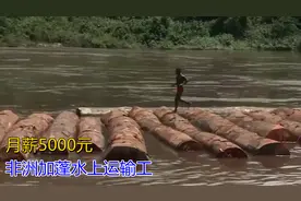 非洲水上运输工月薪5000元，护送价值3百万的木材，失误还要坐牢图片