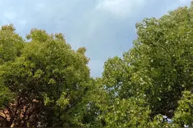 你知道吗？三孩政策落地，对农村有三大促进作用图片