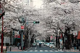 日本留学 | 研修还是新闻生？听我一句劝…图片