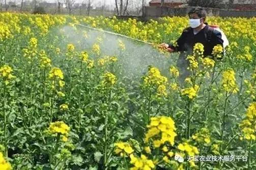 杀菌剂混用配方及注意事项！