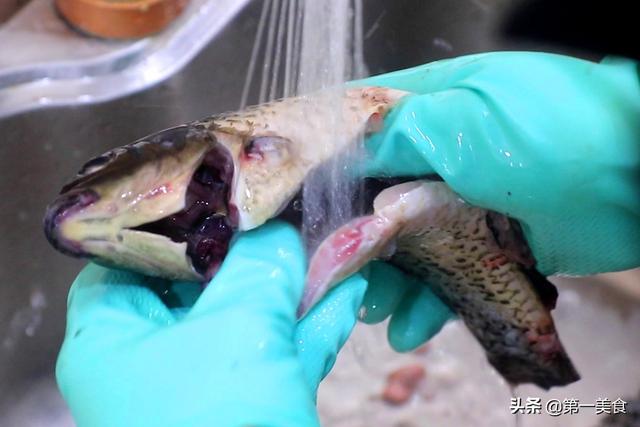 鲫鱼煲汤要去除鱼鳞片