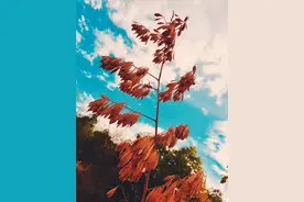 武汉九峰山随拍图片