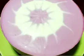渐变蓝莓慕斯蛋糕~~You are my sunshine图片