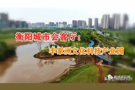 衡阳城市会客厅：丰家洲文化科技产业园原来这么美图片