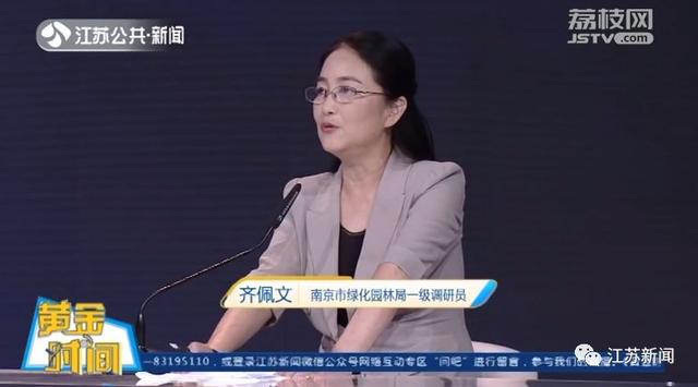 再不用靠进口！全国近1/3的碧根果竟产自江苏这里丨黄金时间