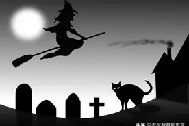 “九条命”的物理猫，故事总是那么神秘图片