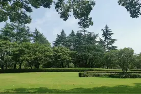 沉稳，方能成大事图片