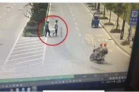 东方快评丨捡走毒诱饵差点给孩子吃，谁该反思？图片