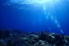 海洋巨蟒的传说图片
