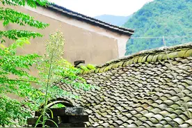 谁偷了村长家的鸡图片