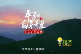 平和白芽奇兰  |  福建十大农产品区域公用品牌图片