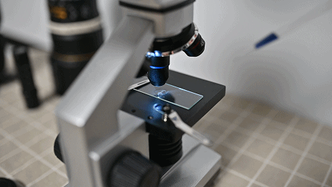 米饭脱糖概念真的全是伪科学？——还得看实际产品