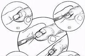 小指甲有大讲究儿图片