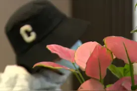 “个人破产”不是逃债避风港——对全国首例个人破产清算案的延伸思考图片