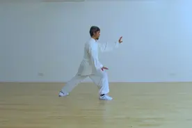 杨氏太极二十四式重要组成动作，左楼膝拗步掌教学图片