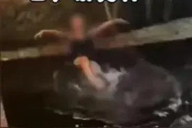 女游客酒后在丽江古城石榴井戏水，当事人道歉：酒后不慎跌入，网友：摔跤还穿泳衣？图片