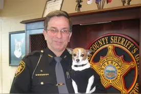 世界最小警犬，陪伴主人14年，却在同一天去世，一人一狗合葬一处图片