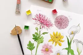 画水彩之前要了解的这5个问题，帮助你画好一幅画图片