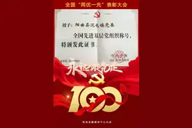 太原市阳曲县：这些党组织和党员荣获“两优一先”表彰图片
