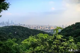 太牛了！广州有盘网签价破20万/㎡图片