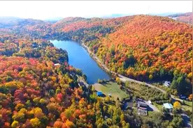 天冷了，愿你心暖如秋日，热情的钢琴《去往冬天的路上》图片