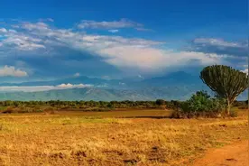 非洲十大矿业国家，到底谁的资源更丰富？图片