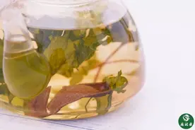 受寒 呕吐 生气时，喝杯紫苏茶图片