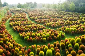 长三角这9条美丽乡村休闲旅游行（秋季）路线，你走过几条？图片