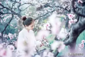 看看花容，听听花语2020年我镜头里的百种花卉图片