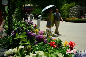 走！五泉公园看花展图片