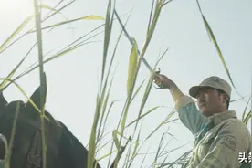 《我和我的父辈》里的十大感人瞬间，每一个都让人眼泪破防图片