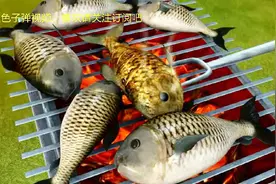 熊出没：光头强吃烤鱼，熊兄弟闻到香味流口水，又来偷吃了视频封面