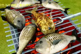 熊出没：光头强吃烤鱼，熊兄弟闻到香味流口水，又来偷吃了视频封面