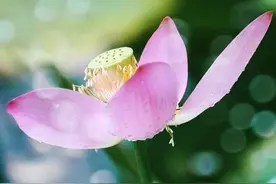 聪明的人都该明白：“其实，酒桌上是没有文化可言的”图片