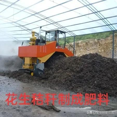 号称“秸秆之王”的花生秸秆，别当柴火烧了，每吨能卖一千多元！