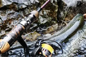 路亚新人避坑指南：鱼竿应该怎么选（上）图片