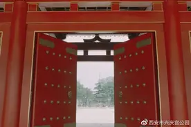 游园连连问丨大小象为什么不让玩了？图片