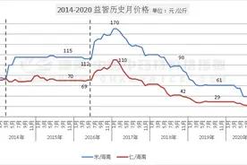 益智进入产新后期，放量再聚人气图片