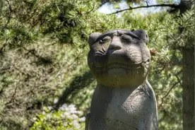 看清福陵神道中的石兽，那只老虎可爱极了，30年来看一次笑一次图片