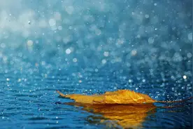 散文：夏雨中，感悟生活图片