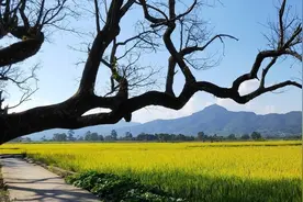 男人的魅力来自哪里？图片